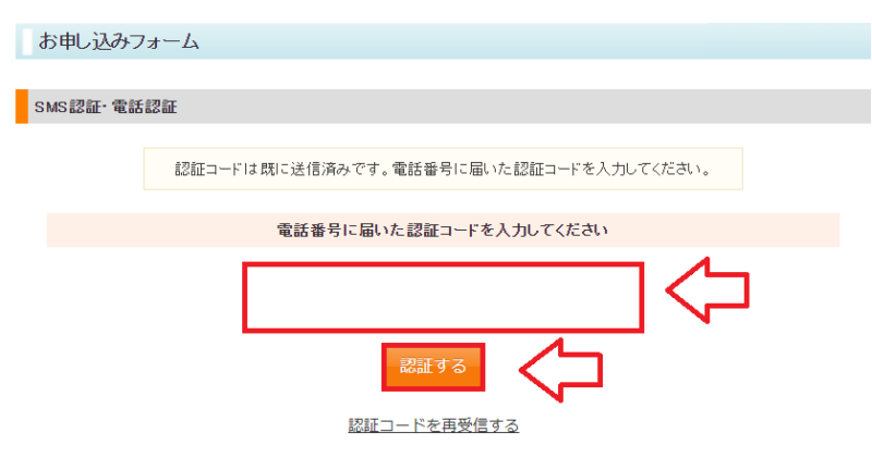 スターサーバー申し込みの流れ9