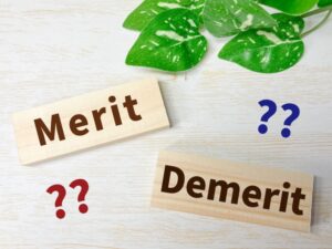 評判の良かったラッコサーバーを使ってみたので利用してみて感じたメリット・デメリットを紹介