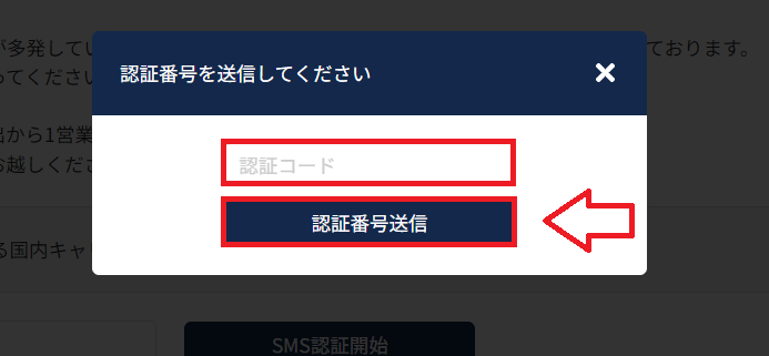 ラッコサーバー申込み契約の手順6